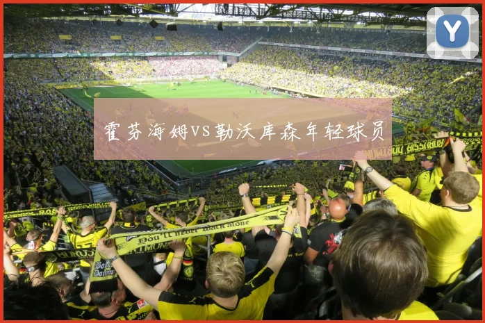 霍芬海姆vs勒沃库森年轻球员