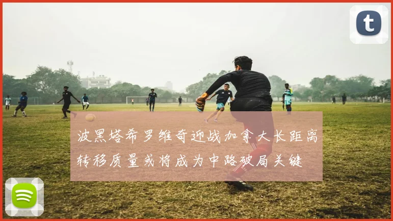 波黑塔希罗维奇迎战加拿大长距离转移质量或将成为中路破局关键